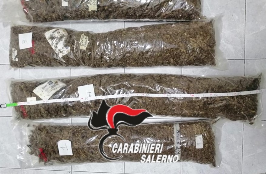 Coppia nascondeva 8 kg di marijuana: anziani in manette