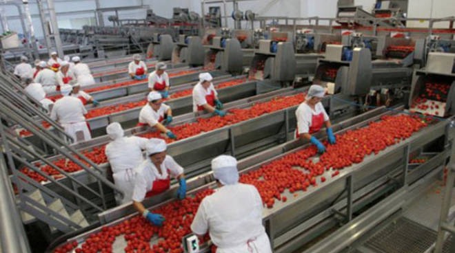 Industria del pomodoro, costi alle stelle