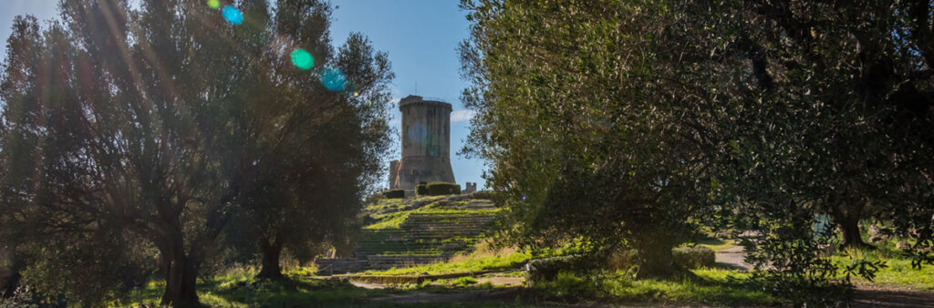 Ulivi secolari, simbolo dell’area protetta