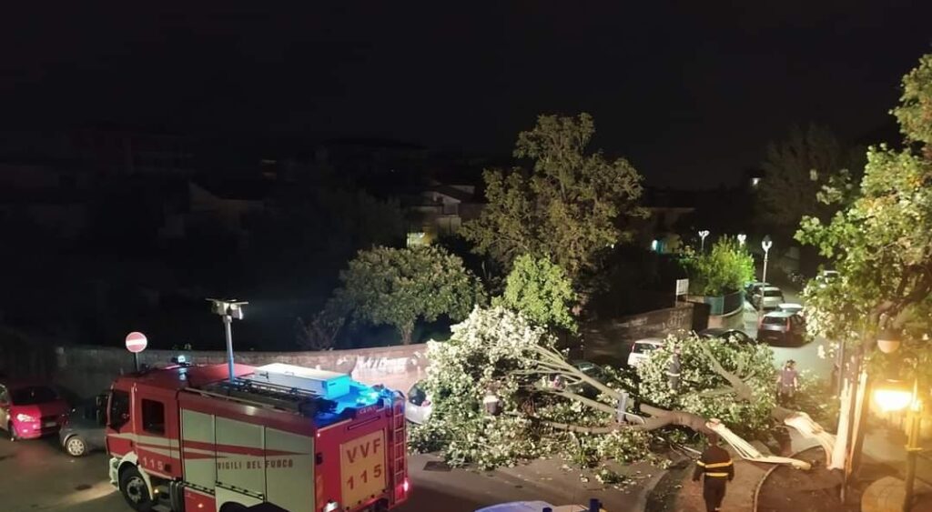 Roccapiemonte, albero si abbatte in strada