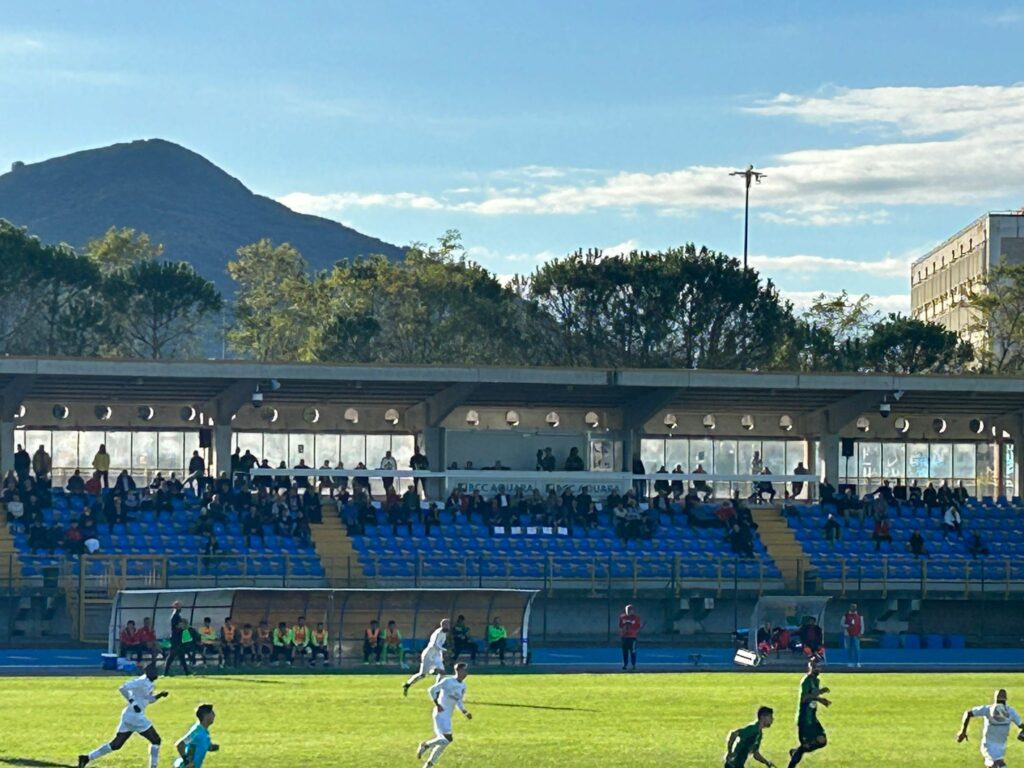 La Gelbison ritrova la vittoria, Croce manda il Bitonto ko