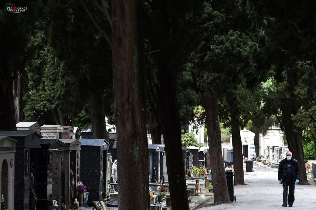 Cimitero di Salerno, via gli alberi a rischio dopo 3 anni