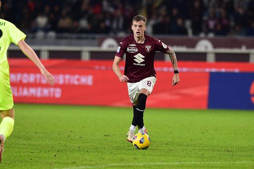 Frosinone e Torino: pari senza reti
