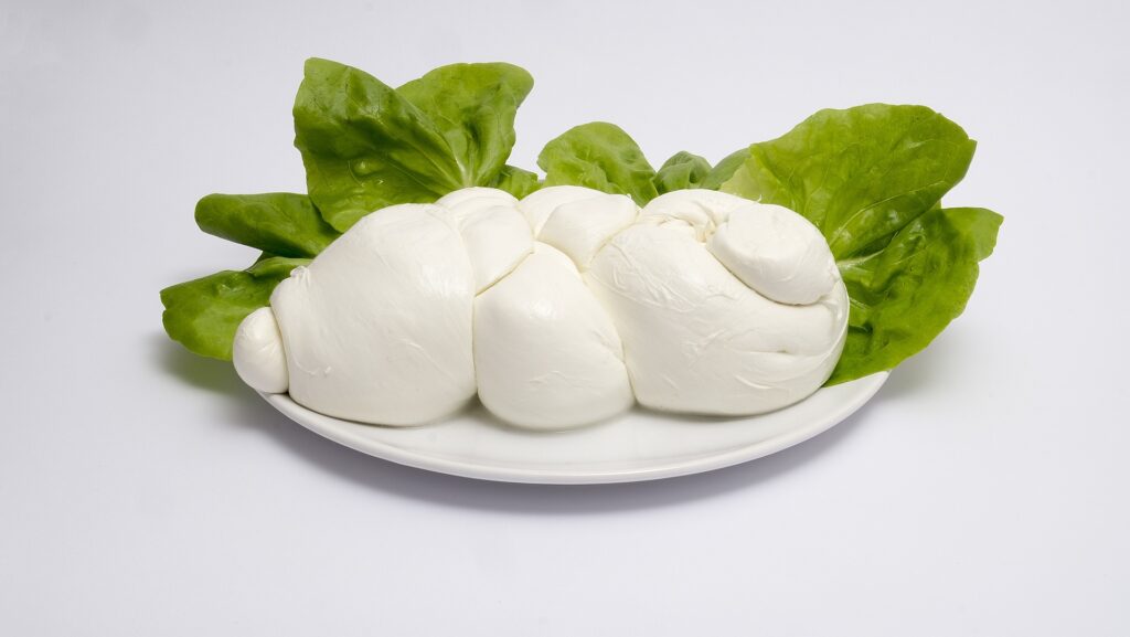 La mozzarella di bufala campana è sostenibile