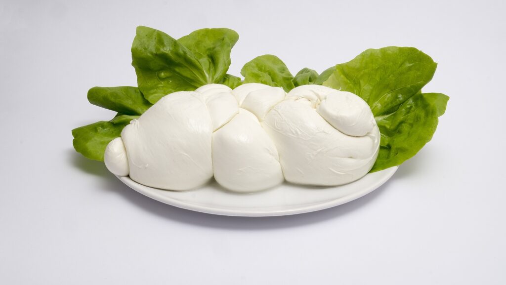 Vendevano finta mozzarella di bufala all’estero: 3 imprenditori nei guai