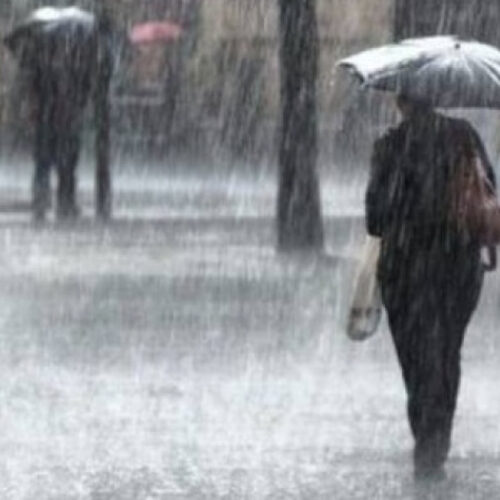 Albero cade sulla SP27 a Pellezzano, danni agli stabilimenti balneari di Capaccio Paestum