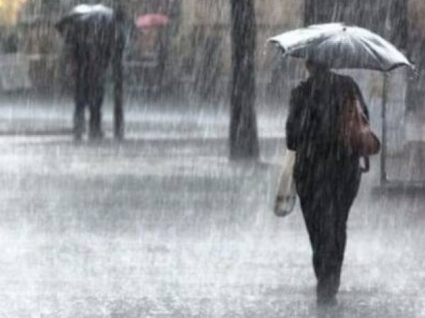 Albero cade sulla SP27 a Pellezzano, danni agli stabilimenti balneari di Capaccio Paestum