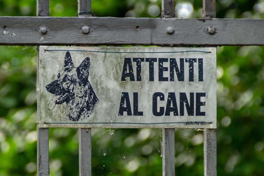 Furti in casa a Cava de’ Tirreni, ladri messi in fuga dai cani