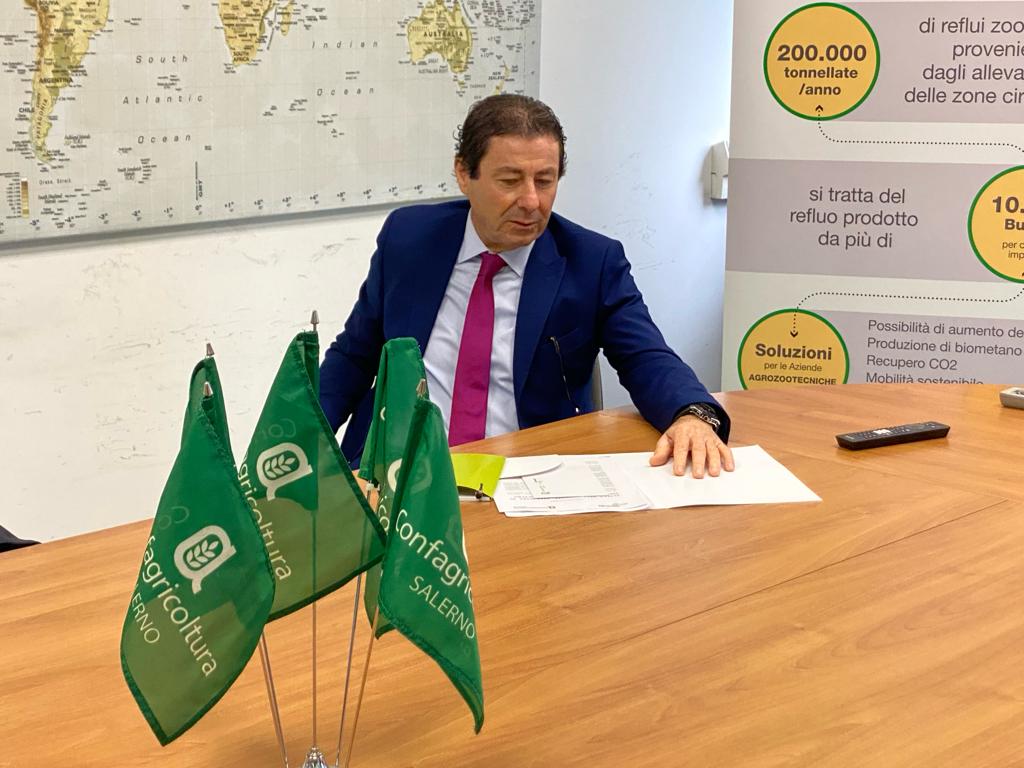 Salerno, servono altri 1000 stagionali extracomunitari