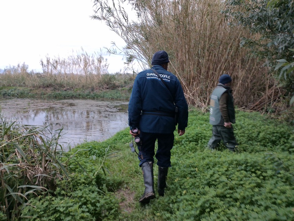 Operazione anti-bracconaggio tra Battipaglia ed Eboli