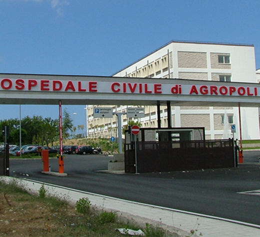 Capaccio, cane e padrone muoiono insieme