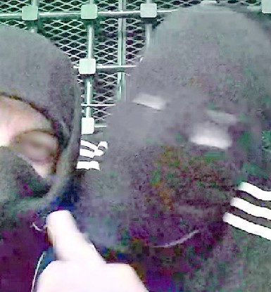 Solimeno, minacce alla madre dalla cella