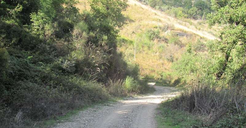 Ghost Road, un danno erariale da 1,5 milioni