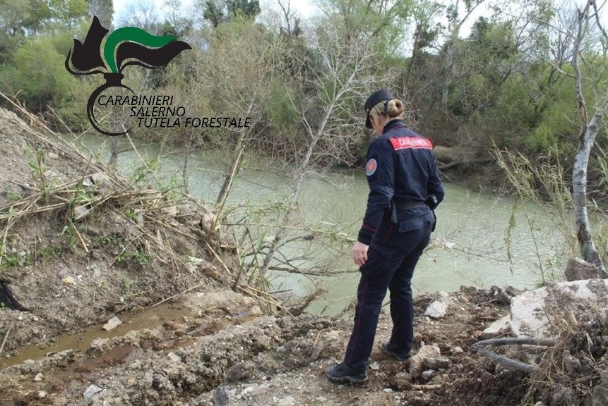 Eboli, sequestrata un’azienda bufalina abusiva