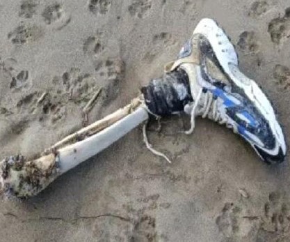 Capaccio, ossa umane in spiaggia: ritrovati tibia e piede