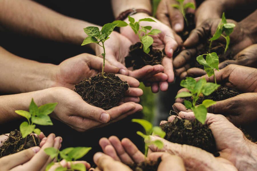 Agricoltura e inclusione, via a “Paspartu”