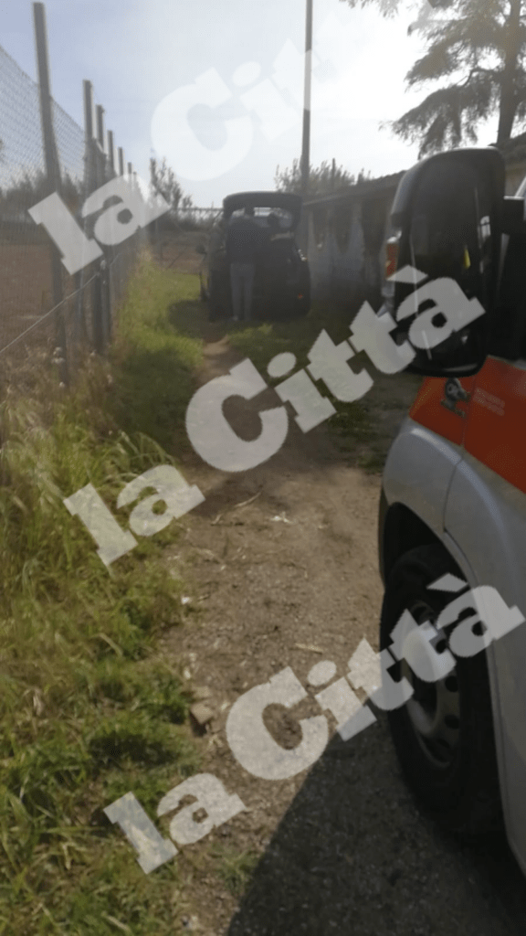 Eboli, bimbo attaccato e ucciso da coppia di pitbull