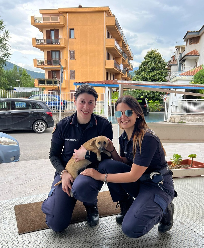 Roccapiemonte, agenti della municipale salvano cagnolino