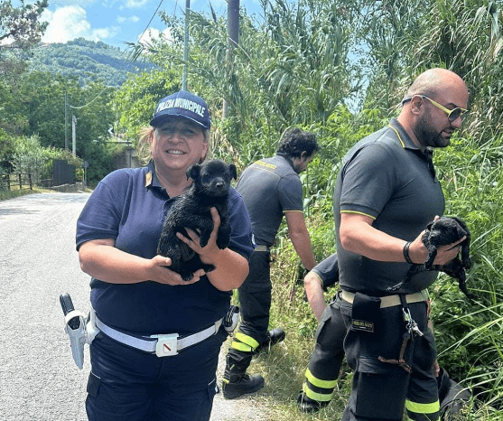 Agropoli, salvati due cuccioli e la mamma