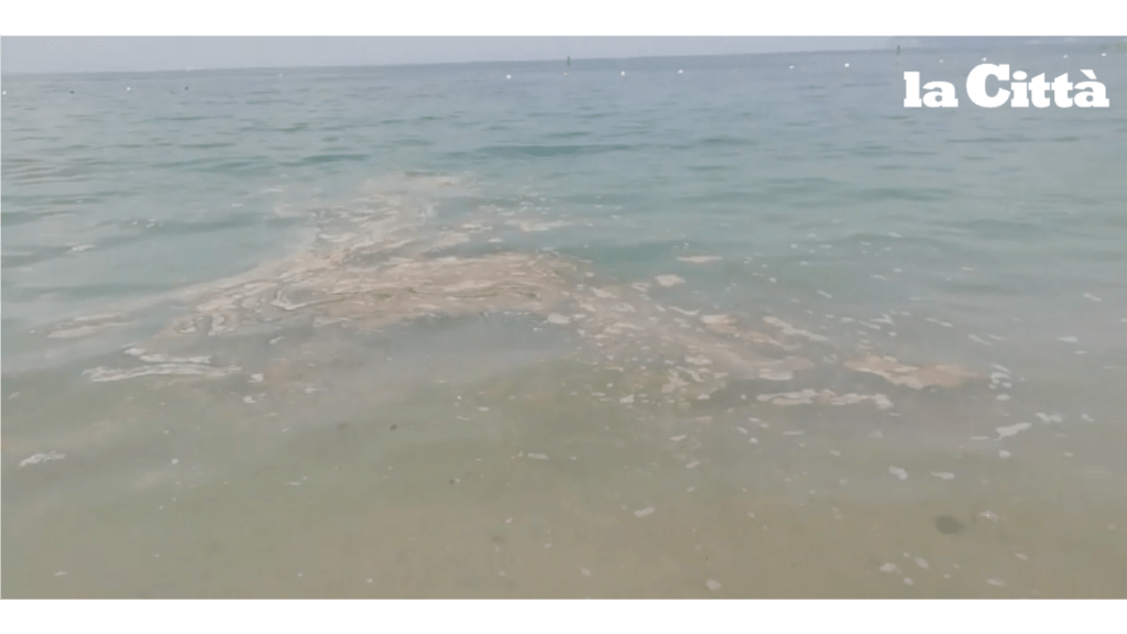 Salerno, chiazze marroni in mare: bagnanti “in fuga”