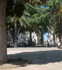 Agropoli, cade un grosso ramo: nessun ferito