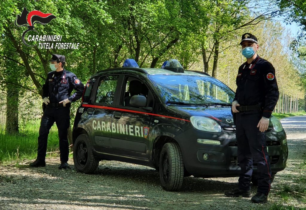 Incendio doloso ad Atena Lucana, arrestato 26enne