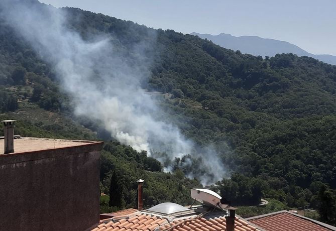 Brucia il Salernitano: incendi a Centola e ad Ascea