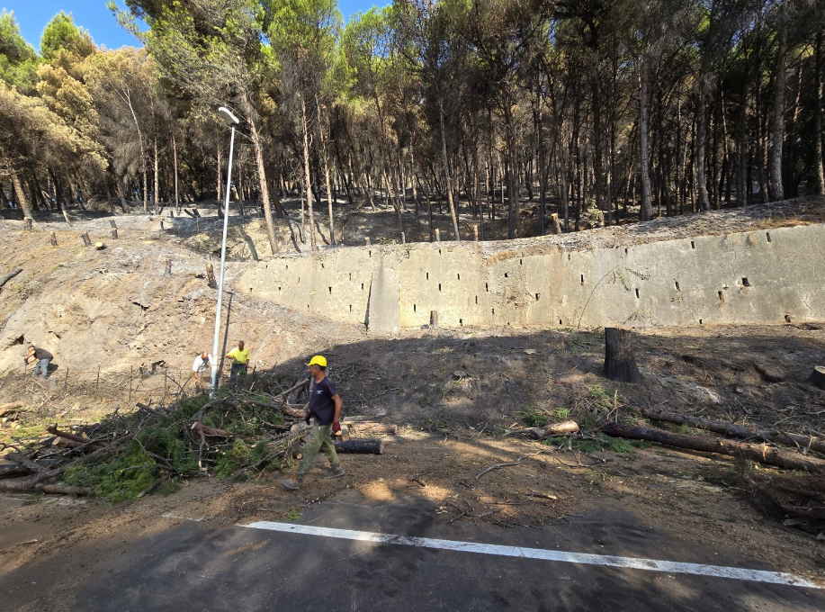 Salerno, l’incendio al Bonadies doloso