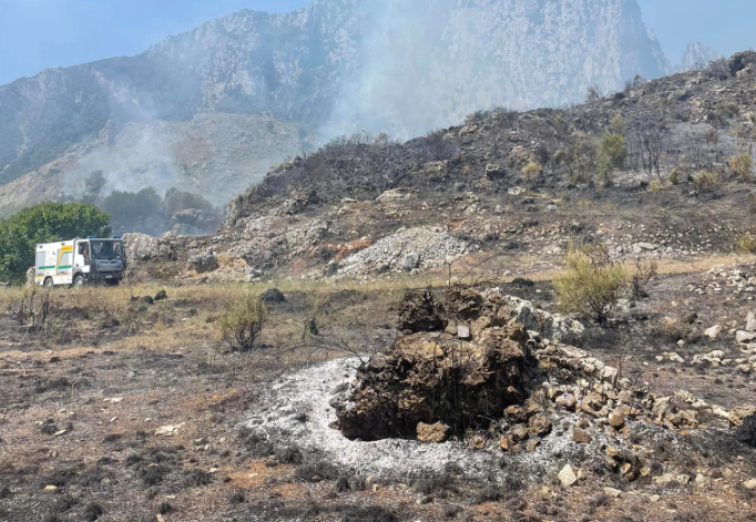 San Giovanni a Piro, vasto rogo: a fuoco sette ettari di vegetazione
