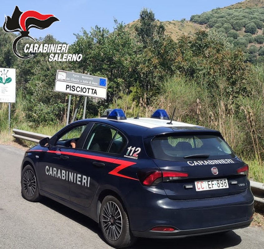 Pisciotta, rubano borsello e aggrediscono una donna: arrestati
