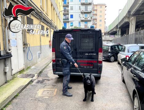 Hashish a scuola: c’è il blitz dei carabinieri a Nocera Inferiore