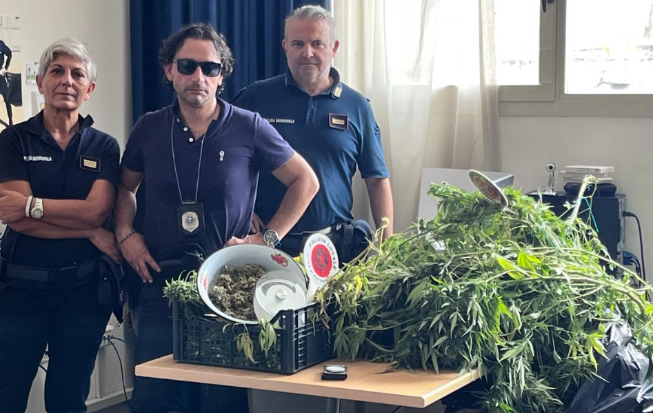 Sequestrata una fazenda sull’Aversana
