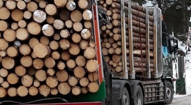 Futani, cade dal camion mentre carica legna: grave 58enne