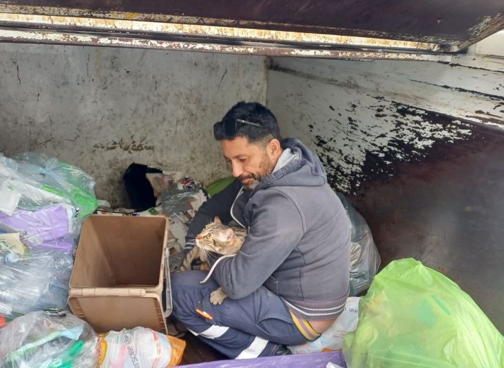Finisce tra i rifiuti, salvato un gatto