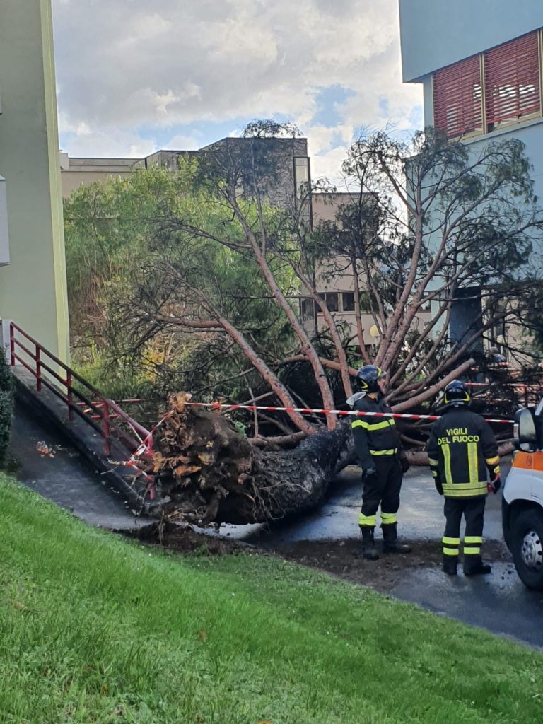 Travolto dall’albero al campus di Fisciano: ragazzo ferito gravemente dimesso