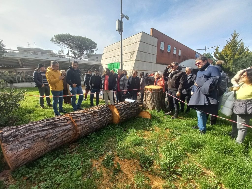 Salerno, taglio degli alberi all’Arbostella