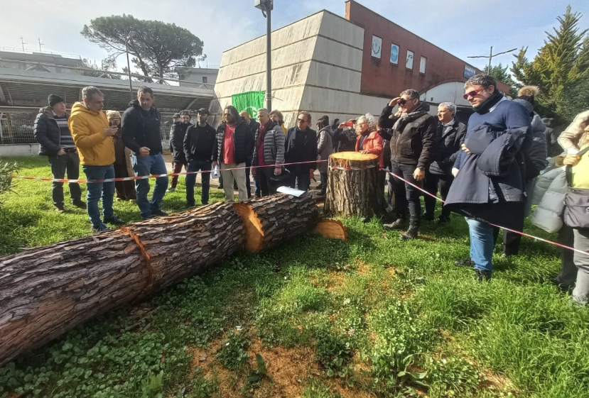 Salerno, giù gli alberi al Parco Arbostella per riaprire l’area giochi