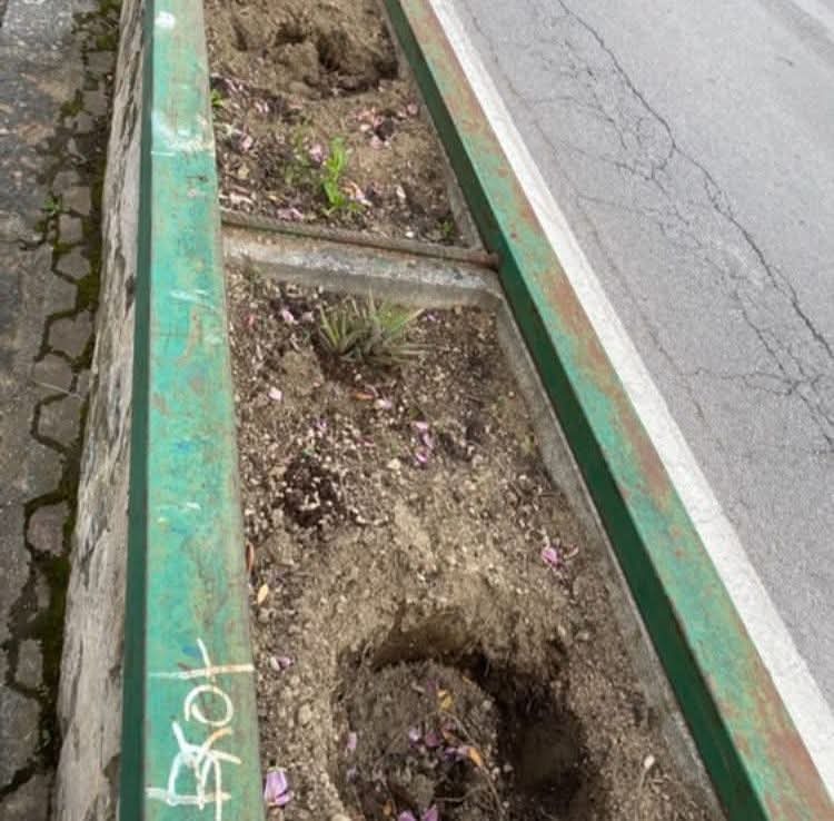 Cava de’ Tirreni, furto a scuola: i ladri non lasciano neanche i fiori