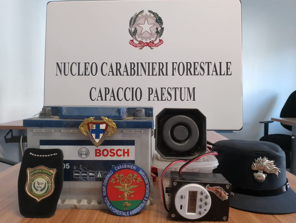 Bracconaggio a Capaccio: sequestrati richiami illegali