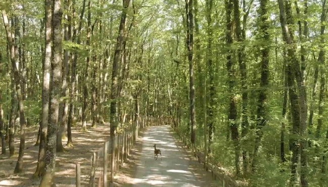 “Il richiamo del Cilento” a Geo su Rai 3