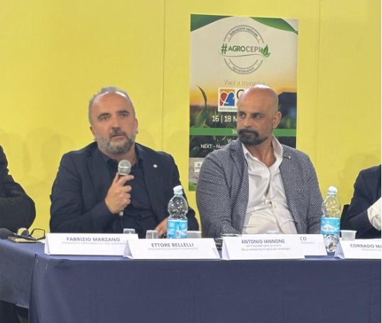 Aeroporto di Salerno, Costa d’Amalfi e Cilento. Iannone: «Basta con le favole»