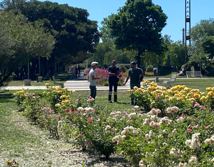 Sos vandali a Salerno, l’assessore: «Militarizziamo il Parco del Mercatello»