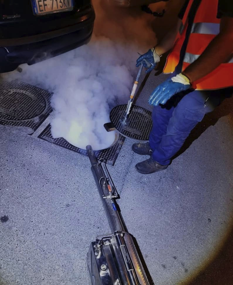 Emergenza blatte a Salerno, è “guerra” fra Comune e Asl