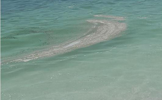 Mare sporco, è già finito l’entusiasmo a Salerno