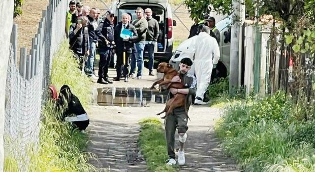 Bimbo ucciso dai pitbull a Eboli, c’è il processo