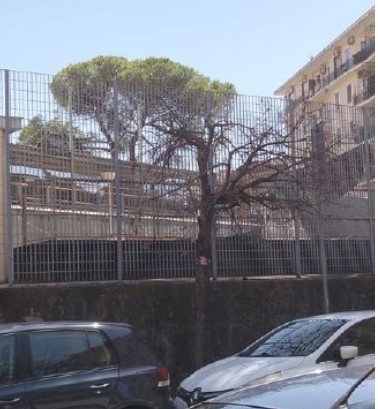 Salerno, l’odissea dei bambini tra alberi pericolosi e strisce fantasma