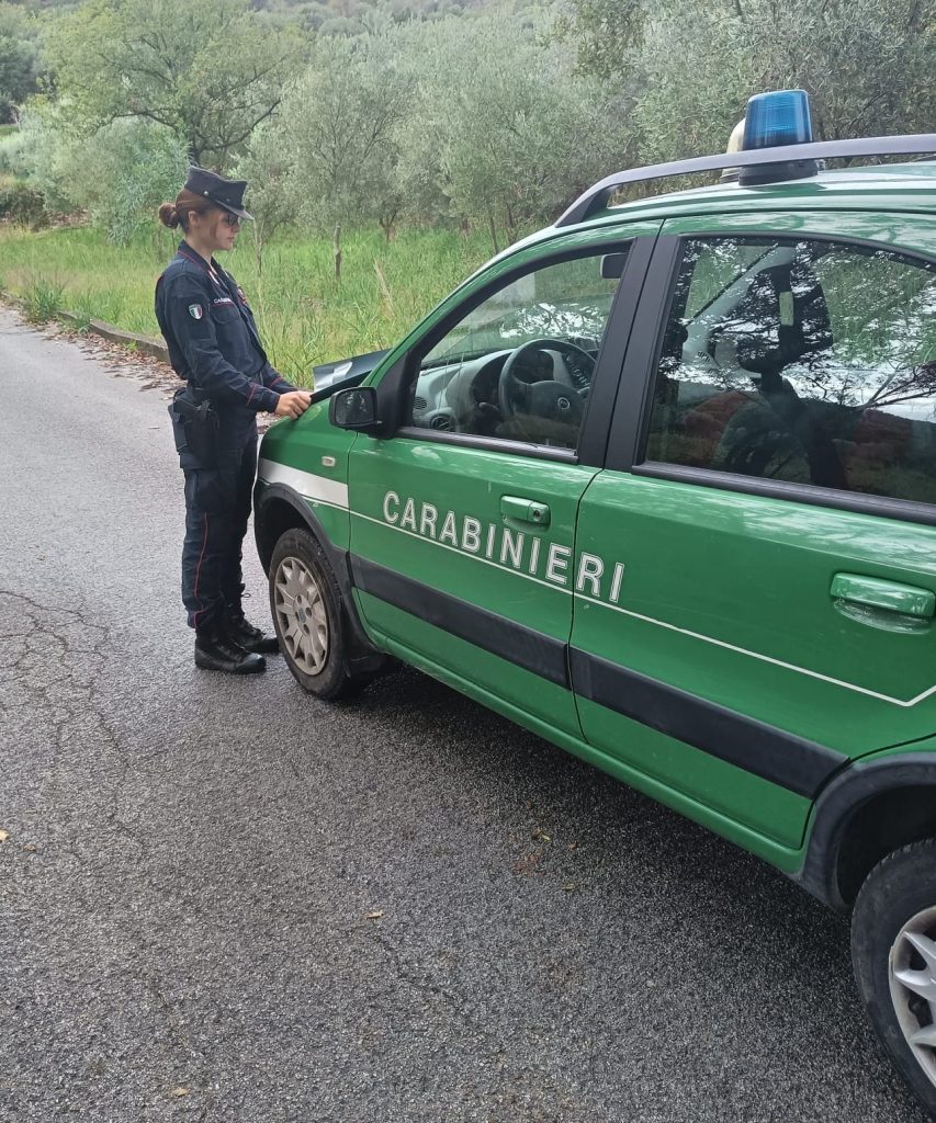 Castellabate, sequestro di una struttura ricettiva abusiva nel Parco del Cilento