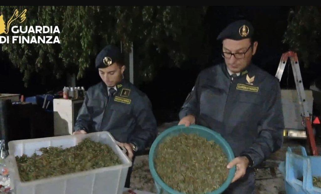Maxi sequestro di cannabis sui Monti Lattari: scoperto laboratorio della droga