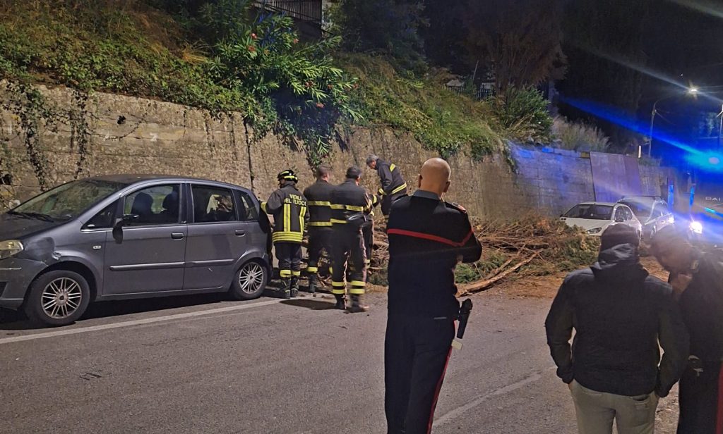 Cava de’ Tirreni, albero cade su un’auto in via Aniello Salsano: nessun ferito