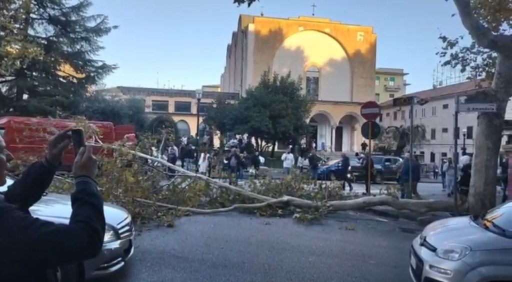 Eboli, crolla albero in centro: paura a San Bartolomeo
